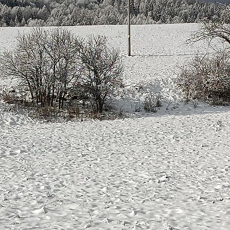 Ubytovani U Babicky Velké Losiny Buitenkant foto