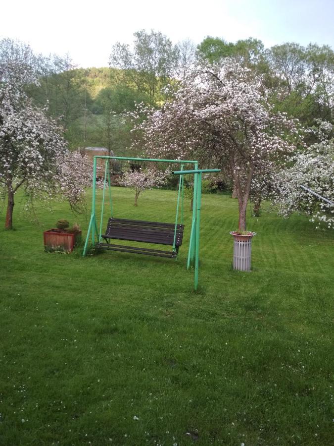 Ubytovani U Babicky Velké Losiny Buitenkant foto