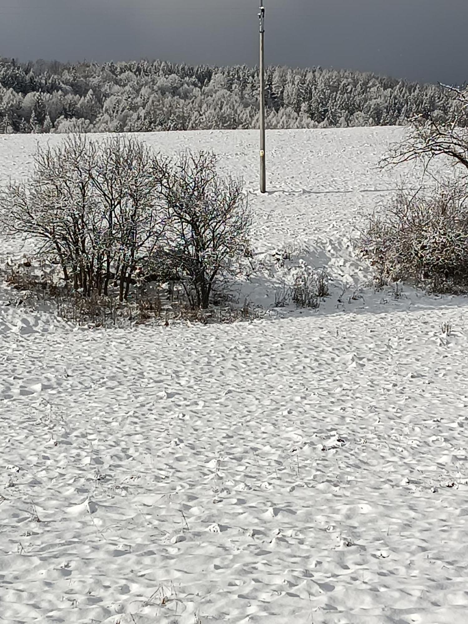 Ubytovani U Babicky Velké Losiny Buitenkant foto