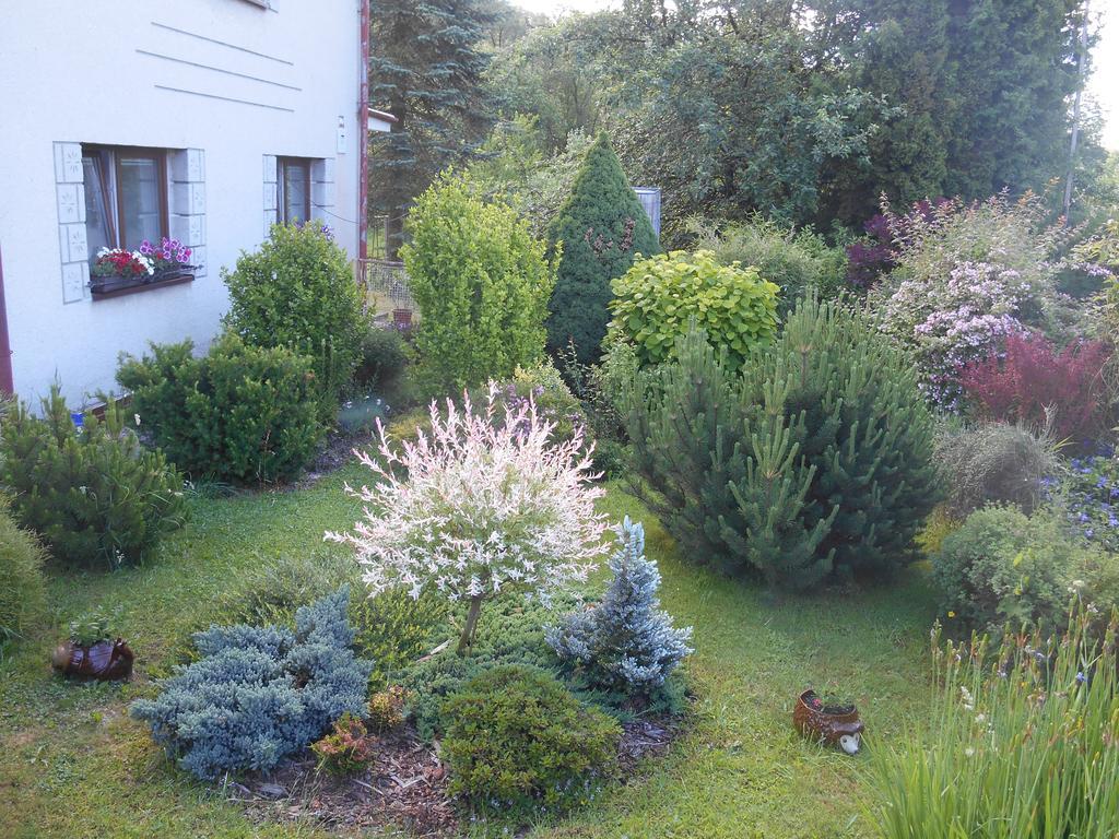 Ubytovani U Babicky Velké Losiny Buitenkant foto