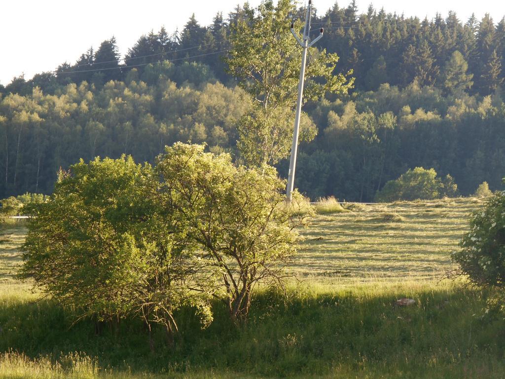 Ubytovani U Babicky Velké Losiny Buitenkant foto