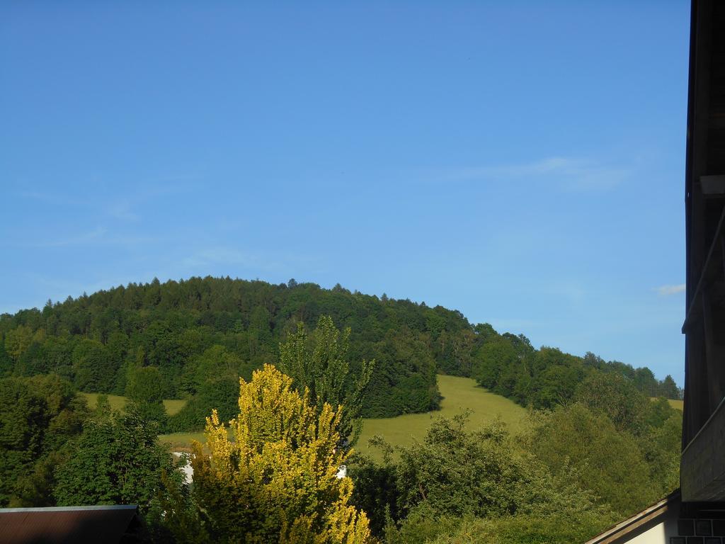 Ubytovani U Babicky Velké Losiny Buitenkant foto