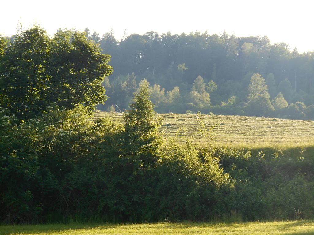 Ubytovani U Babicky Velké Losiny Buitenkant foto