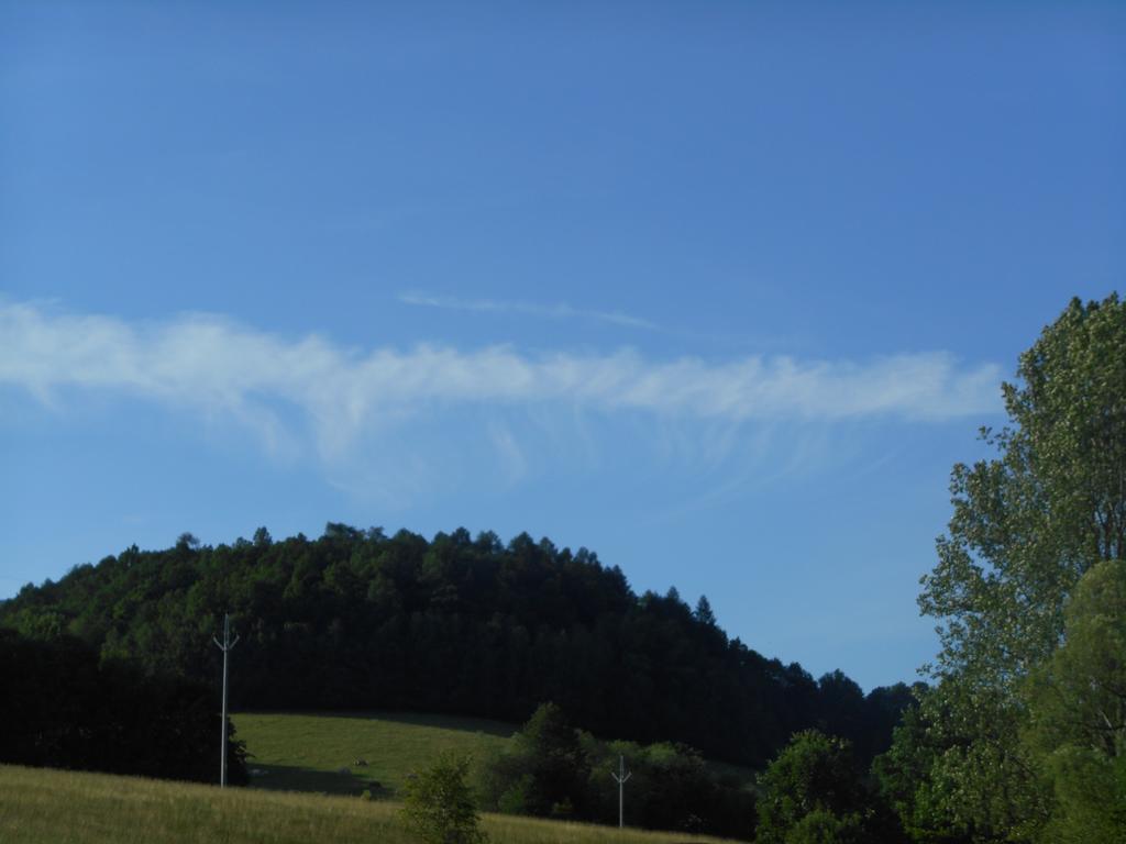 Ubytovani U Babicky Velké Losiny Buitenkant foto